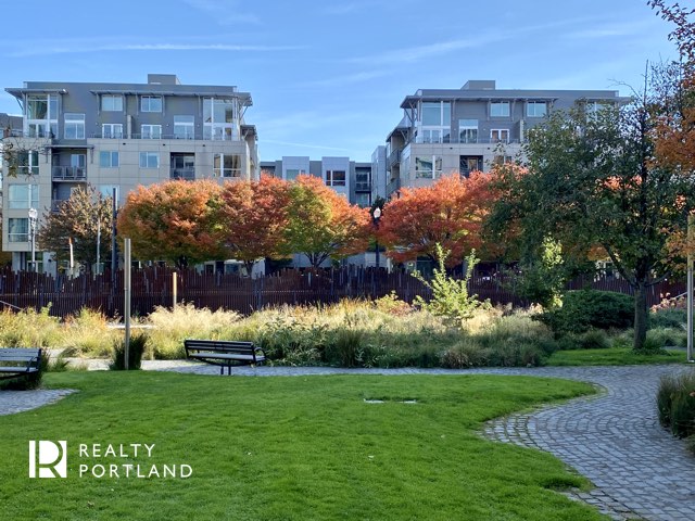 Lexis on the Park Portland Condos